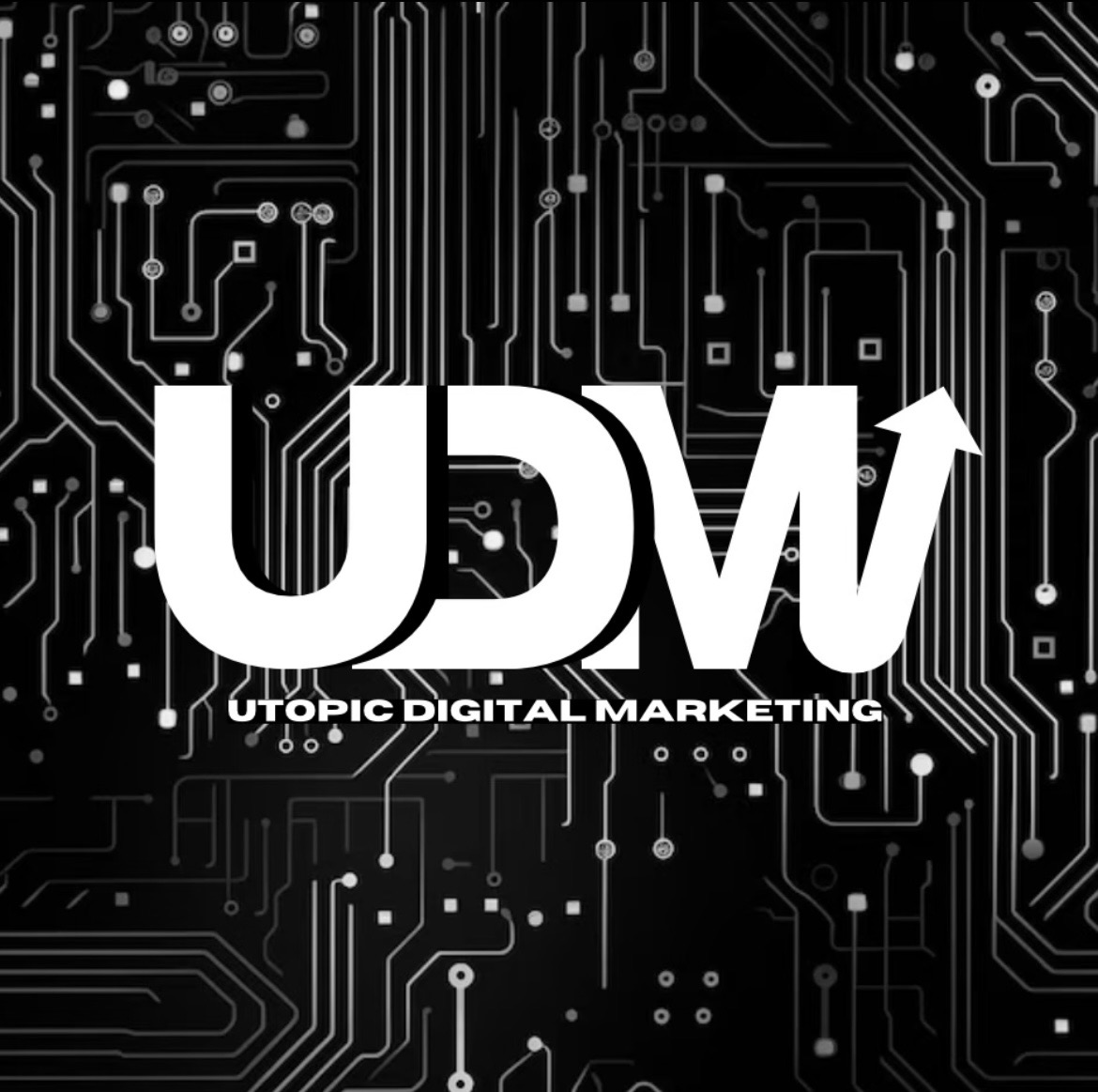 UDM Logo